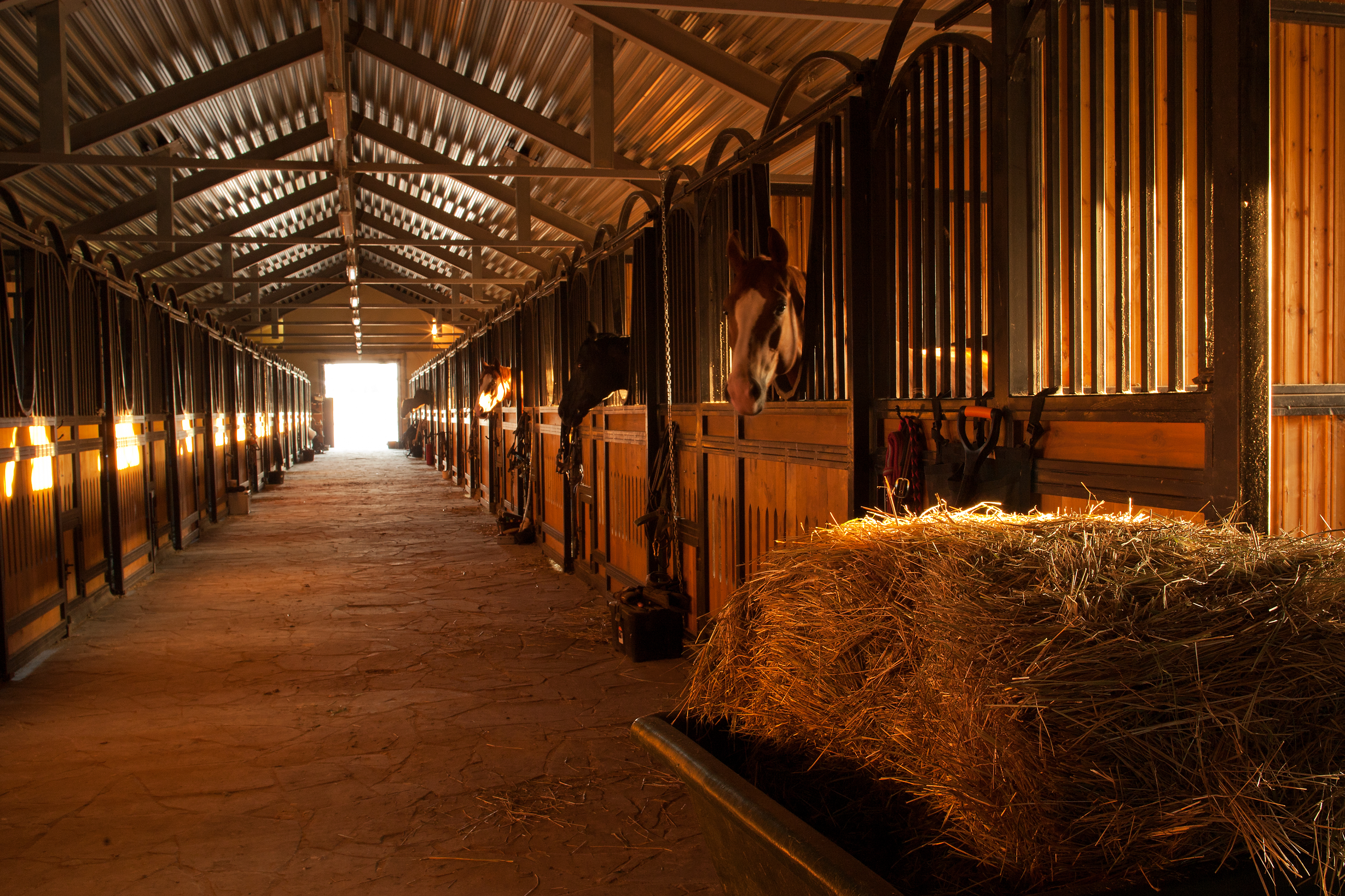 equine stables