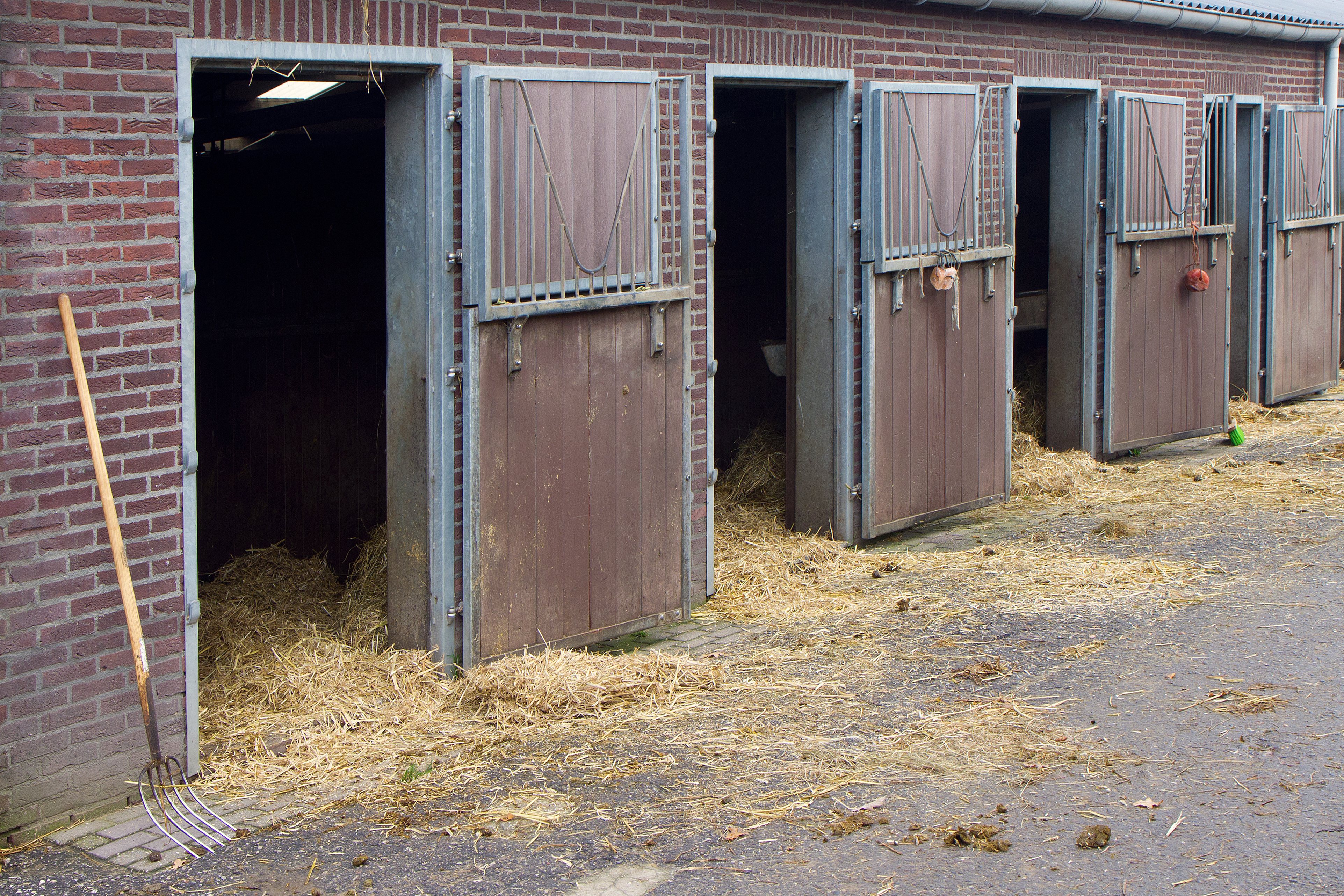 stables