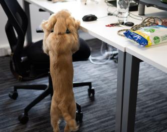 Someone wants to help!
