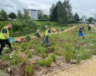 Helping create a garden 2023. 